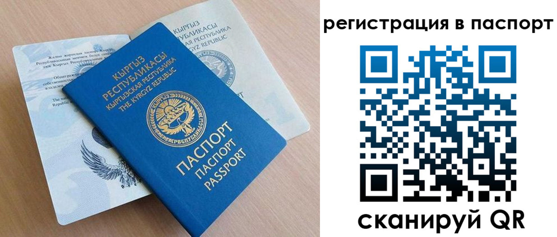 прописка законно в Барыше